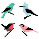 Colorful Illustrated Birds